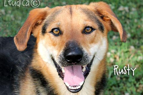 Rusty